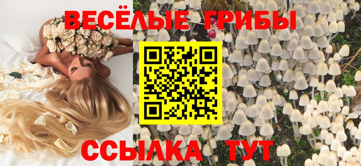 закладки  Галлюциногенные грибы мицелий  Ханты-Мансийск  Вход с VPN  Псилоцибиновые грибы мухоморы 